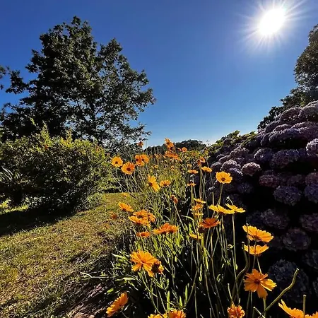 Casa vacanze Serrari